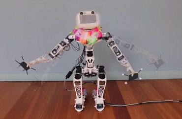 Poppy Robot